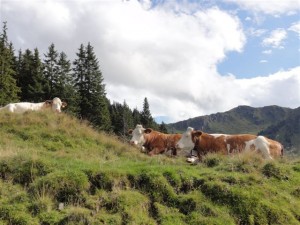 Wanderparadies Kitzbüheler Alpen - Golf & Ski Hotel Rasmushof