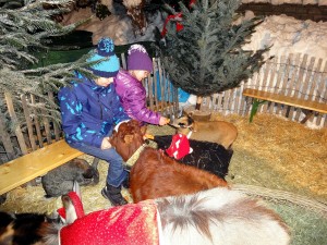 Himmlischer Advent  - Christkindlmarkt in Kitzbühel - Streichelzoo